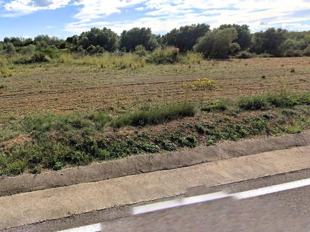 Undeveloped Land for sale in Alcalà de Xivert pueblo, Alcalá de Xivert - € 15,000 (Ref: 8363264)