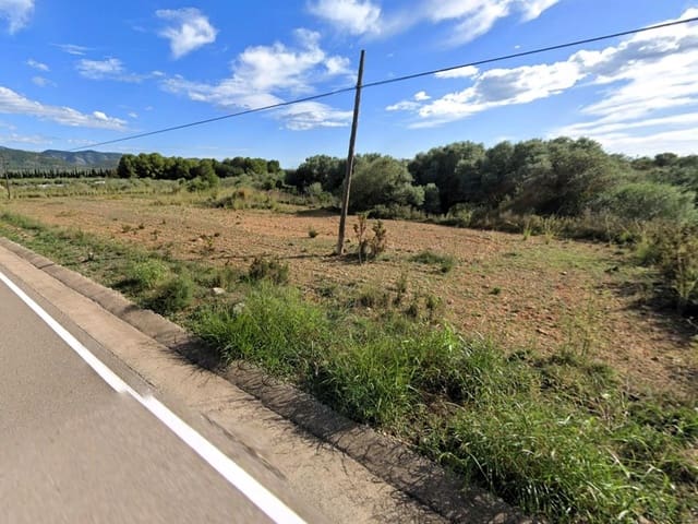 Ubebygd land til salgs i Alcalà de Xivert pueblo, Alcalá de Xivert - € 15 000 (Ref: 8363264)