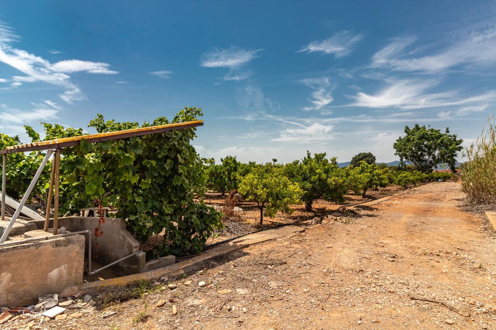 Ubebygd land til salgs i Vila-real - € 99 000 (Ref: 8407575)