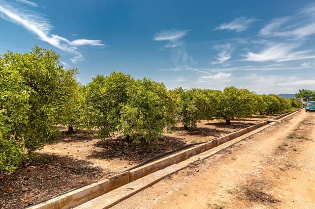 Mark till salu i Vila-real - 99 000 € (Ref: 8407575)