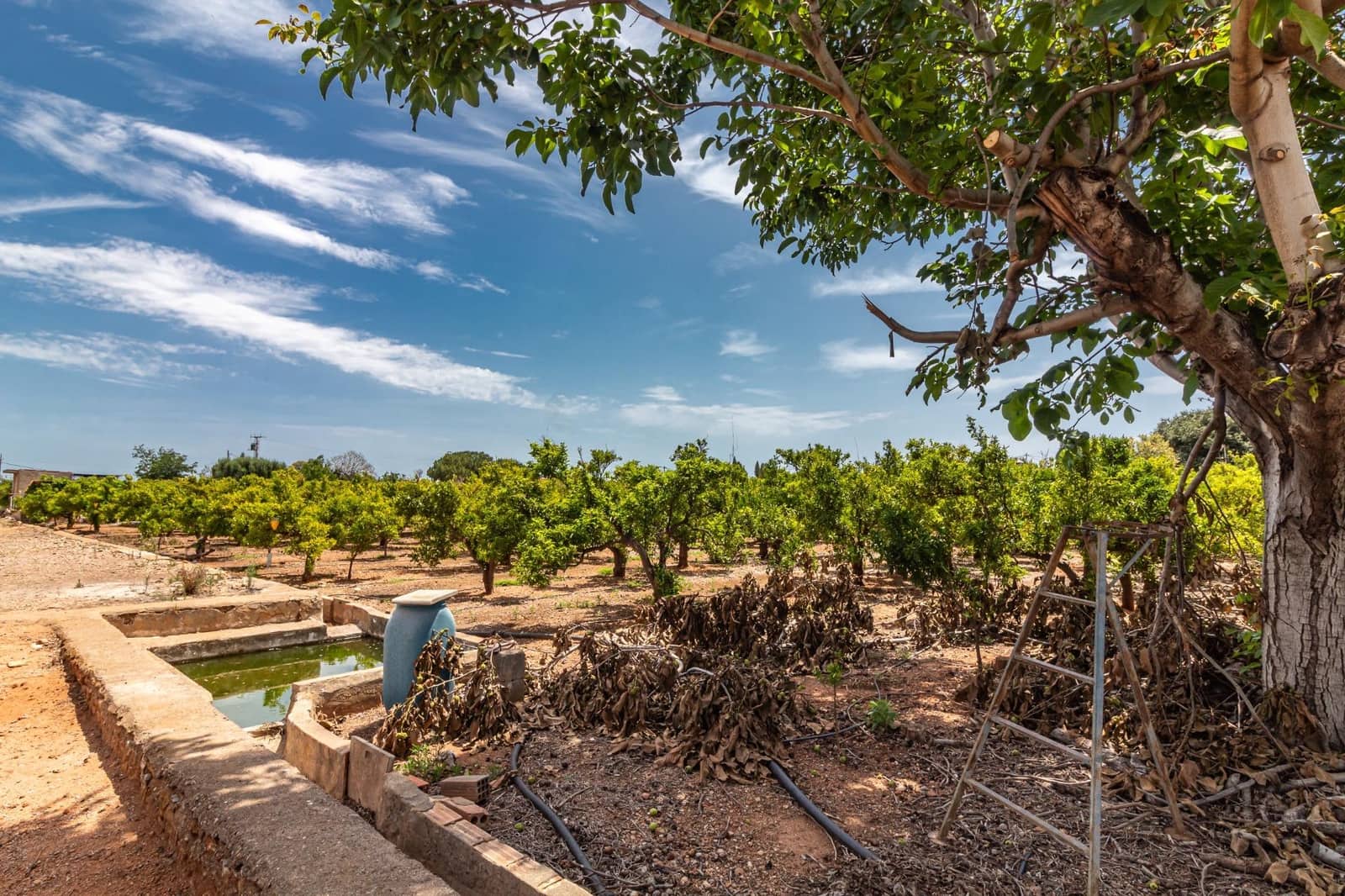 Ubebygd land til salgs i Vila-real - € 99 000 (Ref: 8407575)