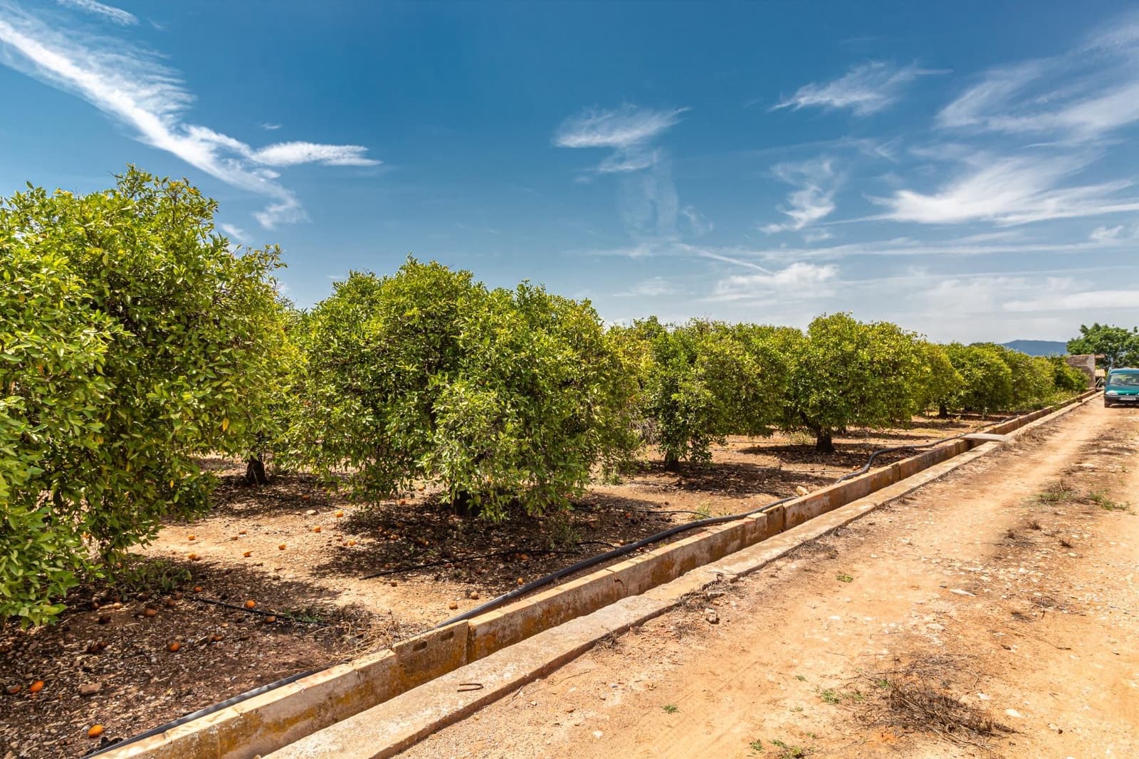 Ubebygd land til salgs i Vila-real - € 99 000 (Ref: 8407575)