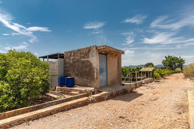Ubebygd land til salgs i Vila-real - € 99 000 (Ref: 8407575)