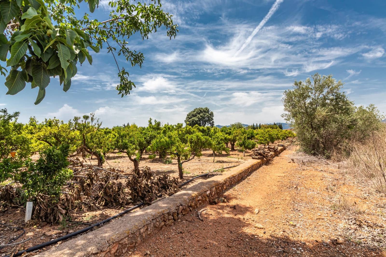 Ubebygd land til salgs i Vila-real - € 99 000 (Ref: 8407575)