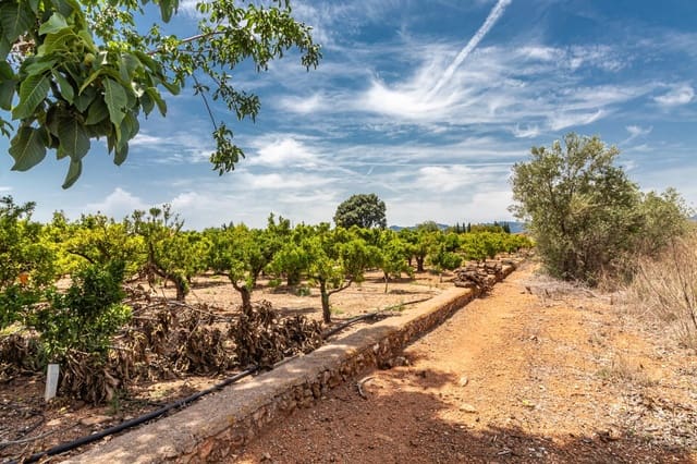 Ubebygd land til salgs i Vila-real - € 99 000 (Ref: 8407575)