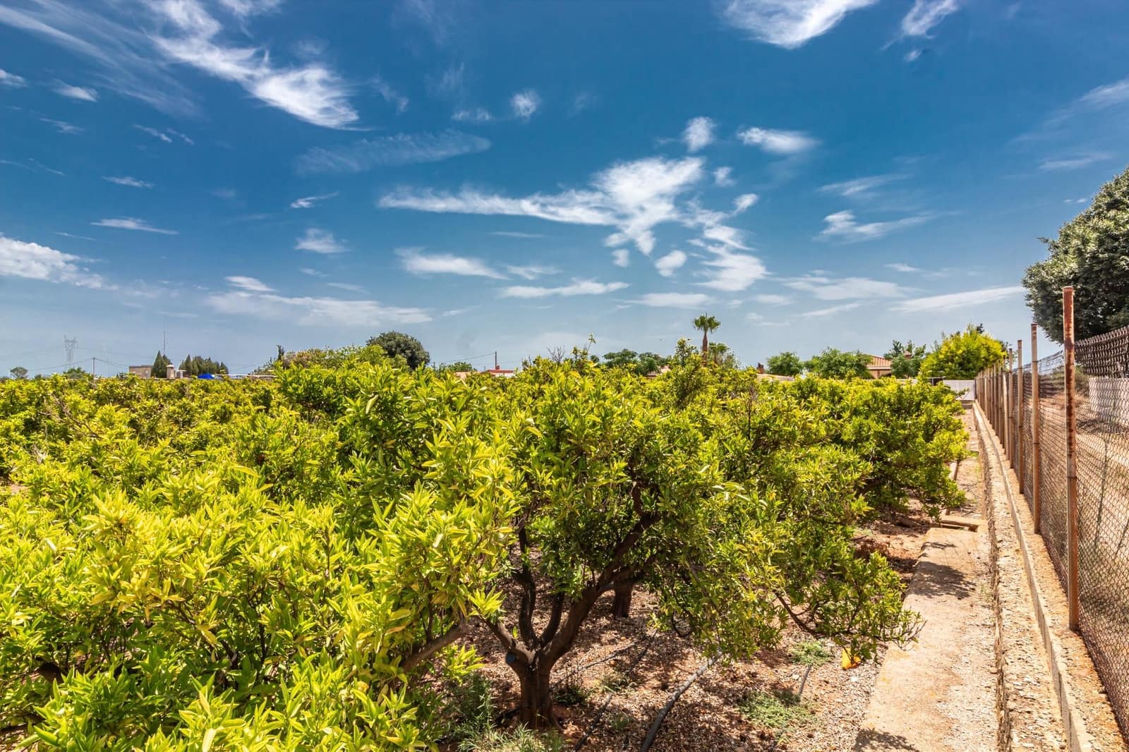Ubebygd land til salgs i Vila-real - € 99 000 (Ref: 8407575)