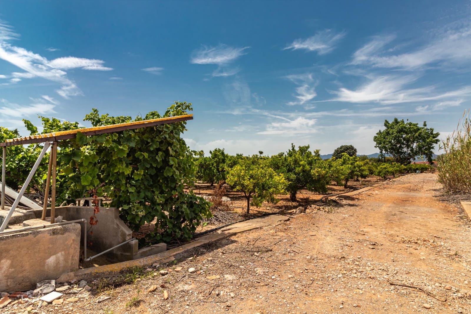 Ubebygd land til salgs i Vila-real - € 99 000 (Ref: 8407575)