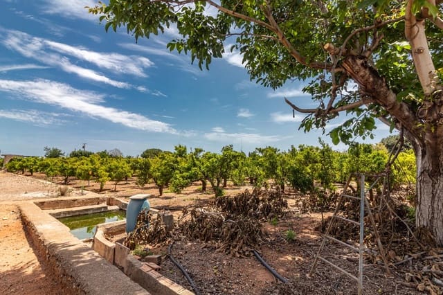 Ubebygd land til salgs i Vila-real - € 99 000 (Ref: 8407575)