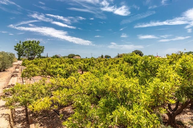 Ubebygd land til salgs i Vila-real - € 99 000 (Ref: 8407575)