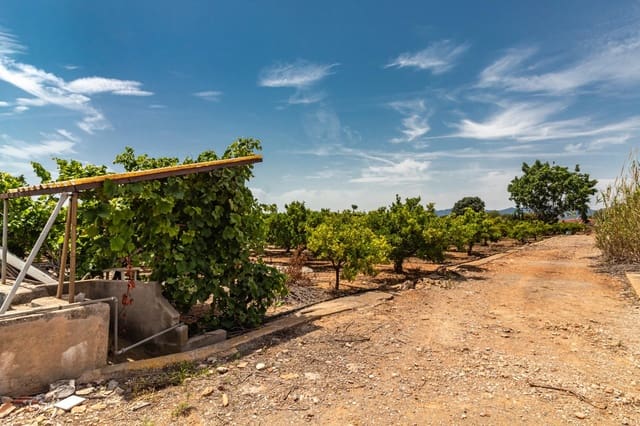 Ubebygd land til salgs i Vila-real - € 99 000 (Ref: 8407575)