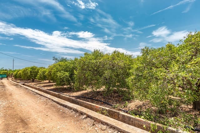 Ubebygd land til salgs i Vila-real - € 99 000 (Ref: 8407575)