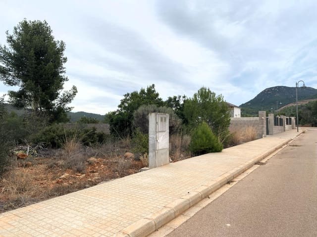 Building Plot for sale in San Juan de Moró - € 40,000 (Ref: 8675833)