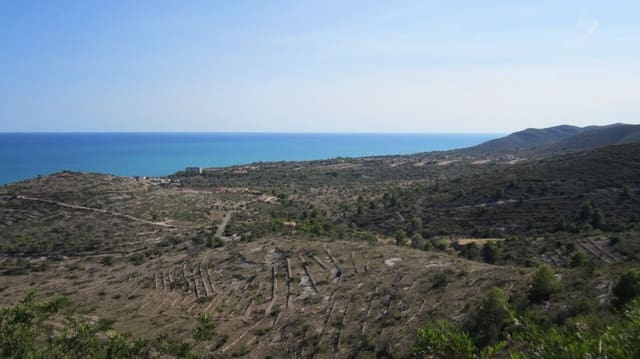 Terrain à Bâtir à vendre à Peñíscola - 30 000 € (Ref: 8907562)