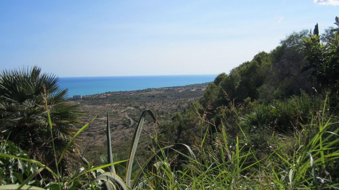 Terrain à Bâtir à vendre à Peniscola - 30 000 € (Ref: 8907562)