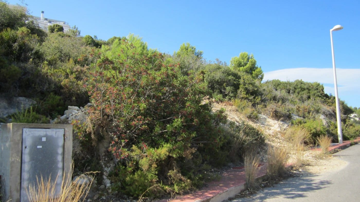 Terrain à Bâtir à vendre à Peniscola - 30 000 € (Ref: 8907562)