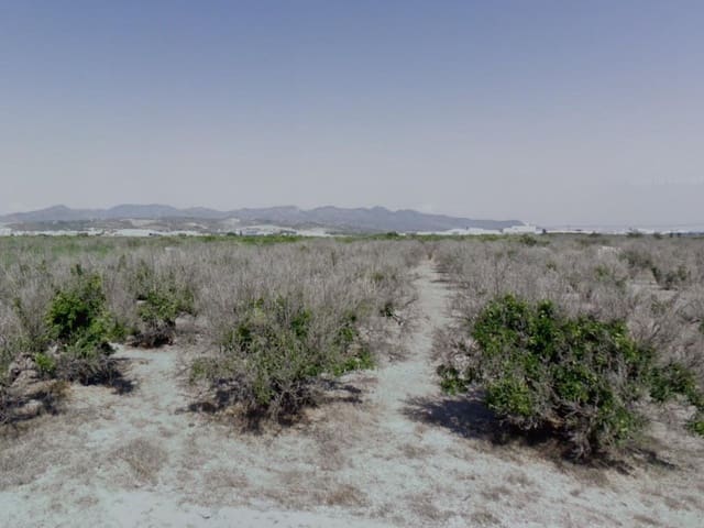 Grond te koop in Chilches - € 3.290.550 (Ref: 9143865)