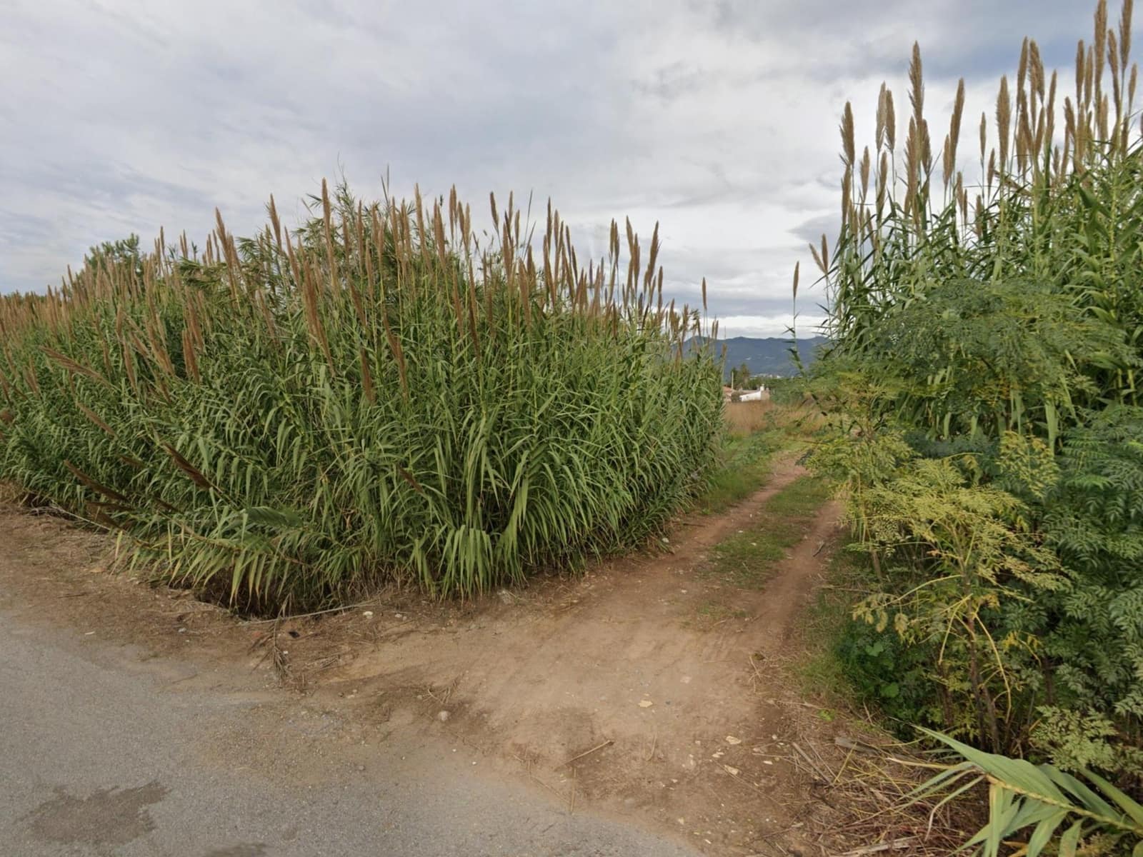 Mark till salu i Castello de la Plana - 109 000 € (Ref: 9206751)