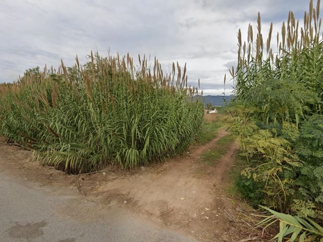 Grond te koop in El Grau de Castelló, Castelló de la Plana - € 109.000 (Ref: 9206751)