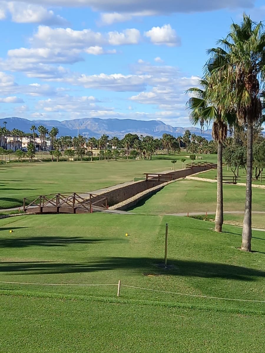 7 sovrum Villa till salu i Cabo Roig - 2 400 000 € (Ref: 10031275)