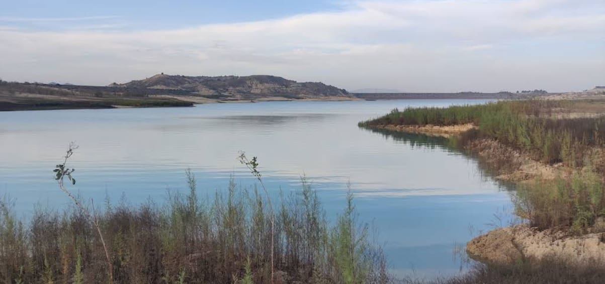 3 sypialnia Finka/Dom wiejski na sprzedaż w Orihuela z basenem garażem - 295 000 € (Ref: 9000342)