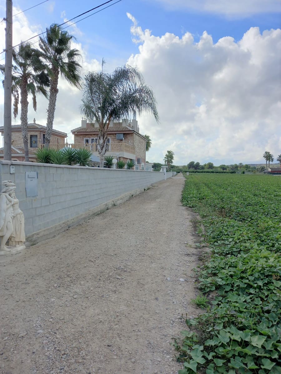 6 bedroom Villa for sale in Guardamar del Segura with pool - € 900,000 (Ref: 9088328)