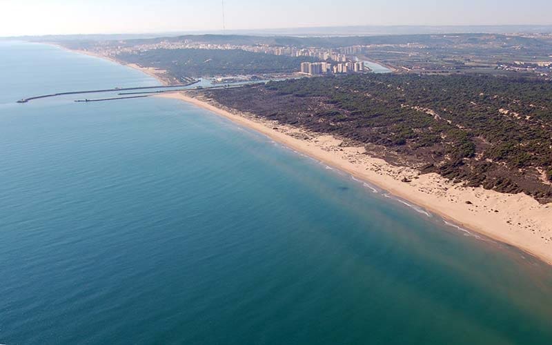 7 sypialnia Willa na sprzedaż w Ciudad Quesada z basenem garażem - 599 950 € (Ref: 9426073)