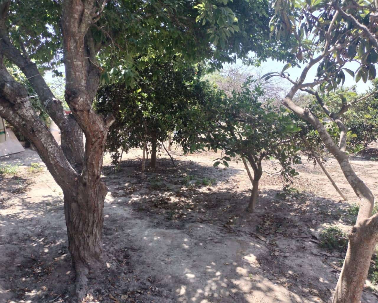 3 bedroom Finca/Country House for sale in Rojales with garage - € 220,000 (Ref: 9426094)