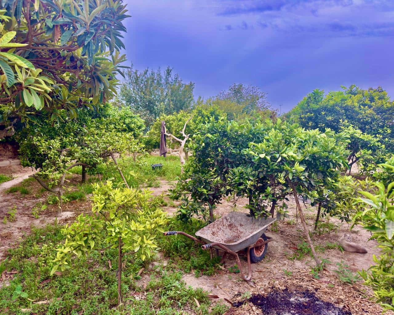 3 bedroom Finca/Country House for sale in Rojales with garage - € 220,000 (Ref: 9426094)