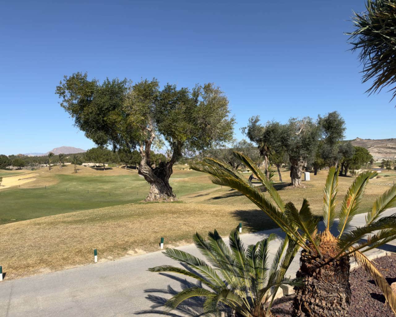 3 bedroom Villa for sale in Los Montesinos with garage - € 469,900 (Ref: 9426129)