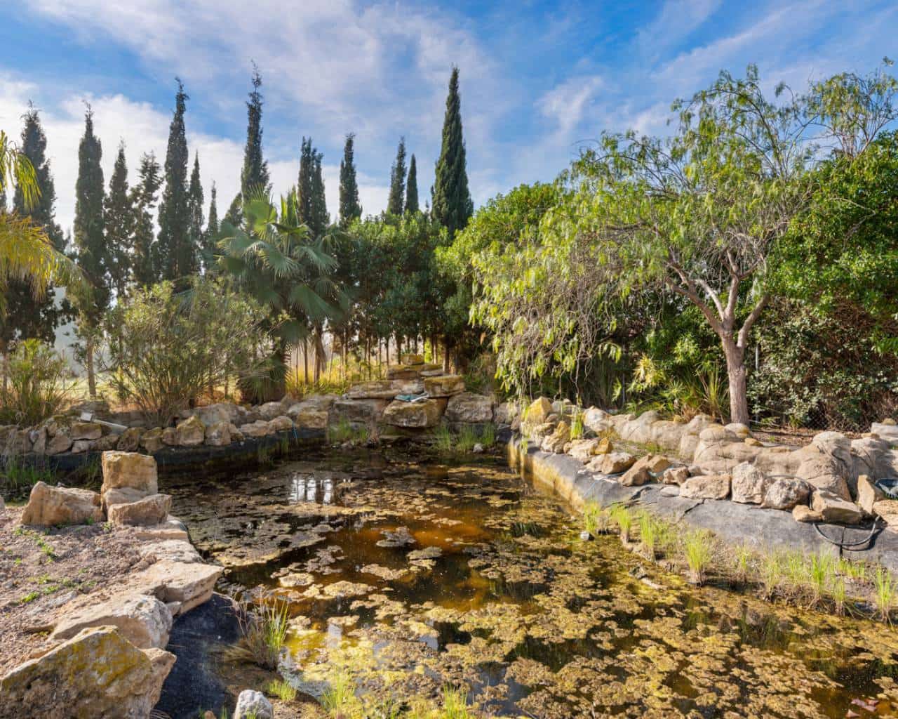 7 soverom Finca/Herregård til salgs i Catral med svømmebasseng - € 975 000 (Ref: 9426142)