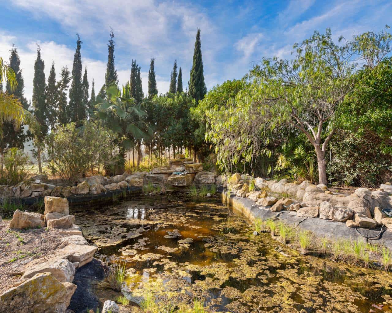 7 bedroom Finca/Country House for sale in Catral with pool - € 975,000 (Ref: 9426142)