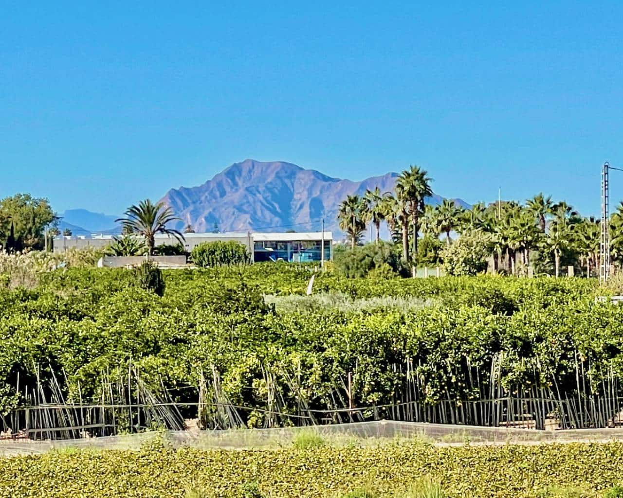 6 bedroom Villa for sale in Guardamar del Segura with pool garage - € 900,000 (Ref: 9426143)