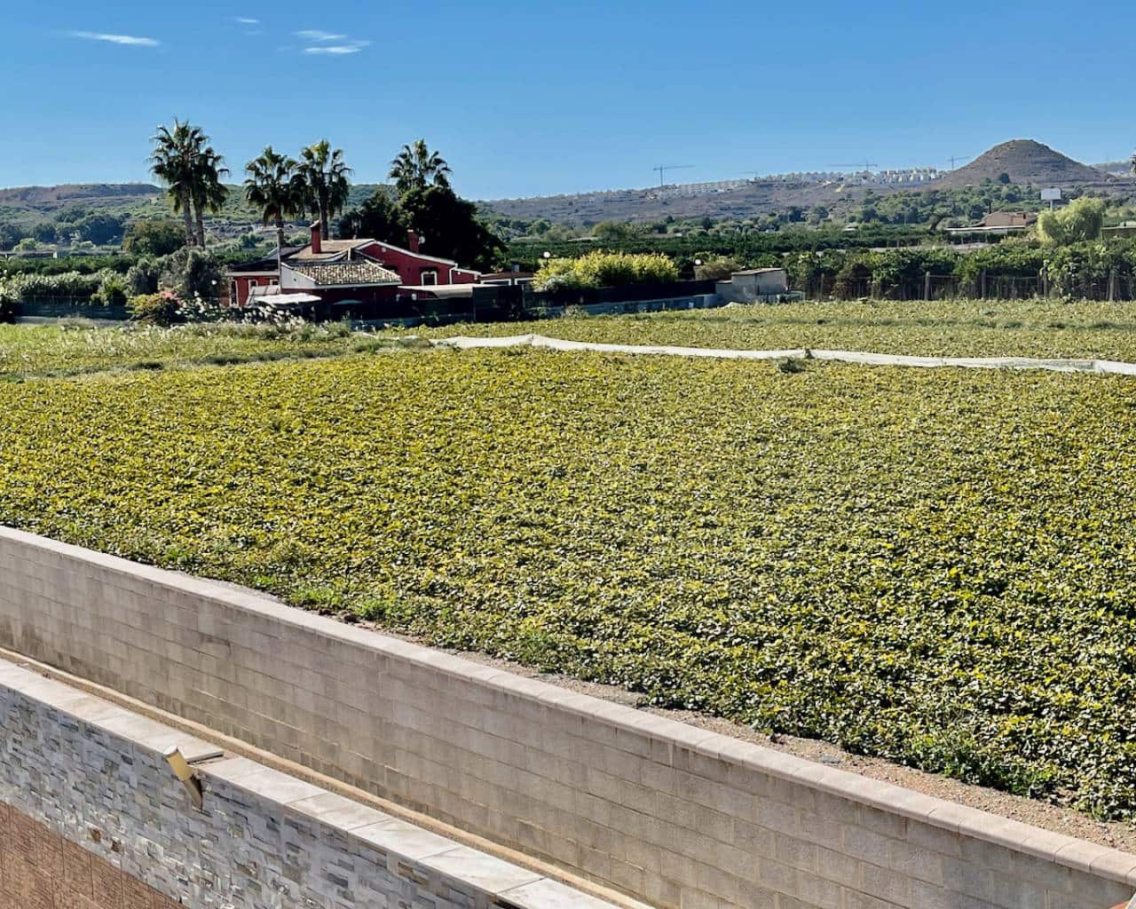 6 bedroom Villa for sale in Guardamar del Segura with pool garage - € 900,000 (Ref: 9426143)