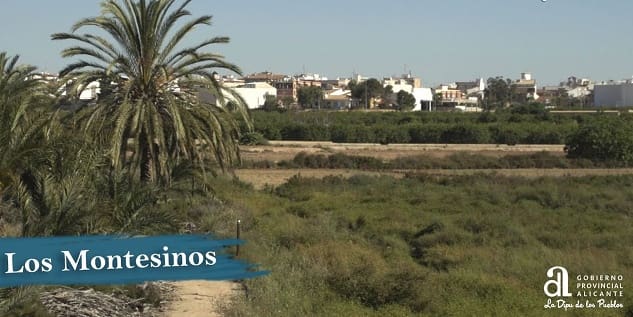 10 quarto Moradia para venda em Los Montesinos com piscina garagem - 995 000 € (Ref: 9426149)