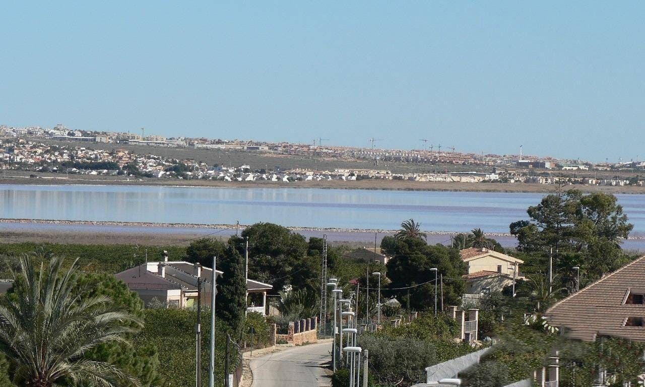 3 sypialnia Willa na sprzedaż w Los Montesinos z basenem - 409 900 € (Ref: 9426155)