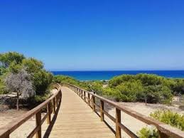 2 soveværelse Villa til salg i Los Montesinos med swimmingpool garage - € 389.000 (Ref: 9676594)