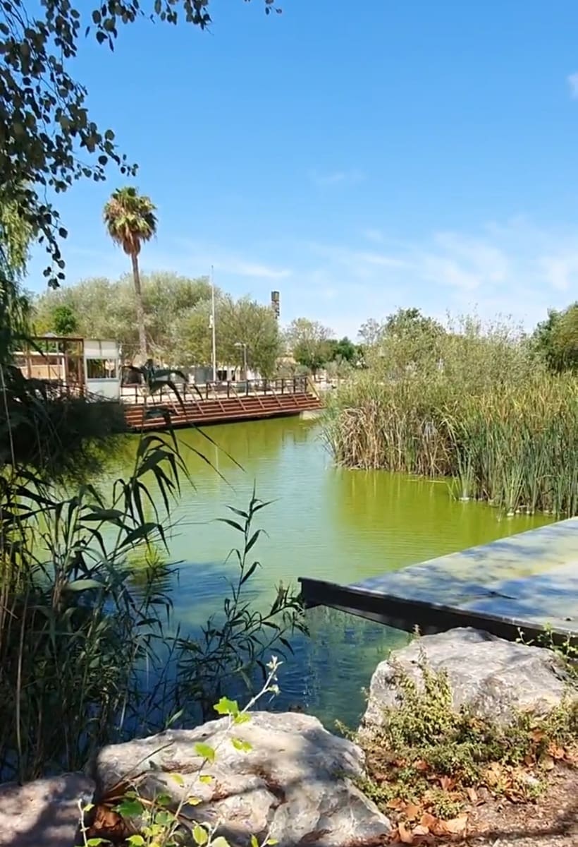 2 bedroom Bungalow for sale in Benijofar with pool - € 199,950 (Ref: 9740601)