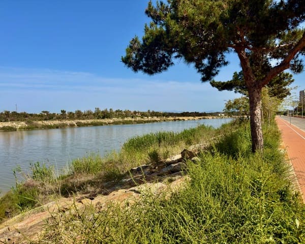 2 Zimmer Apartment zu verkaufen in Guardamar del Segura mit Pool - 245.000 € (Ref: 9784905)