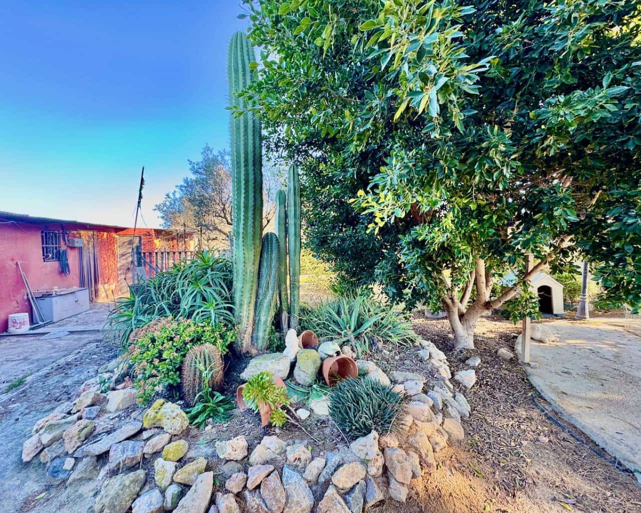 4 soveværelse Finca/Landehus til salg i Guardamar del Segura med garage - € 180.000 (Ref: 9889465)