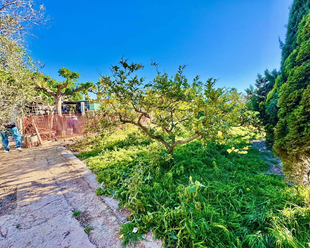 4 soveværelse Finca/Landehus til salg i Guardamar del Segura med garage - € 180.000 (Ref: 9889465)