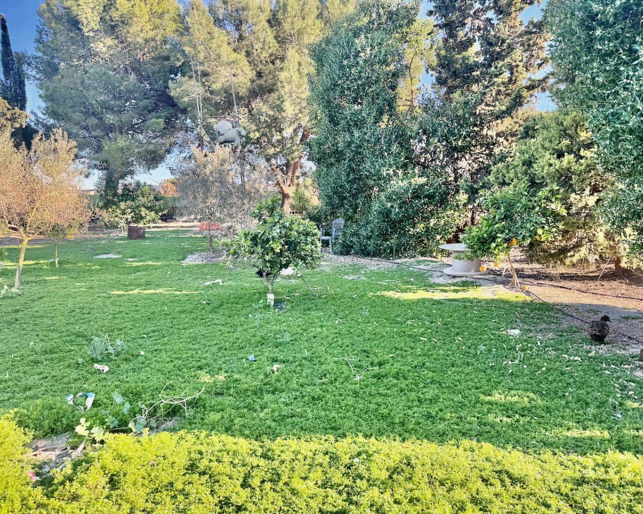 4 soveværelse Finca/Landehus til salg i Guardamar del Segura med garage - € 180.000 (Ref: 9889465)