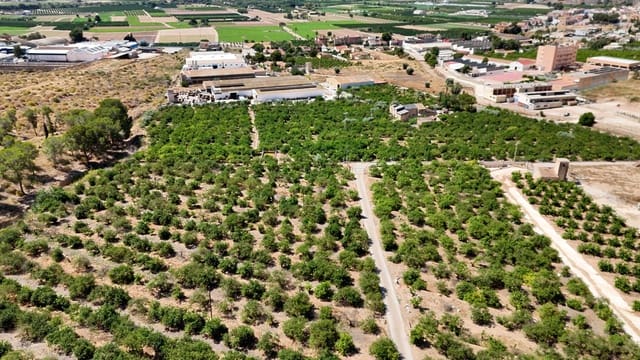 4 soverom Finca/Herregård til salgs i Orihuela - € 599 000 (Ref: 9955468)