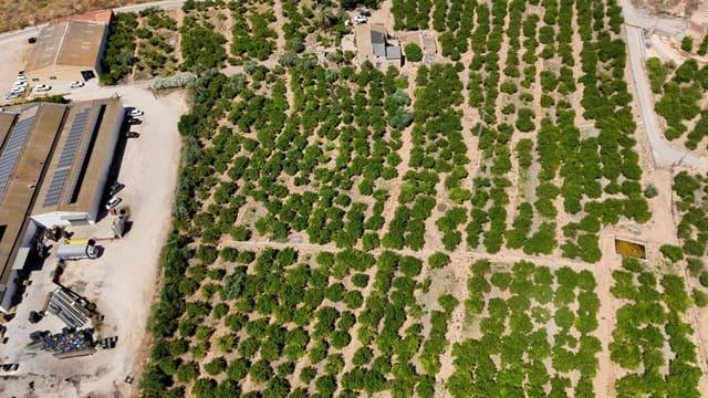 4 soverom Finca/Herregård til salgs i Orihuela - € 599 000 (Ref: 9955468)