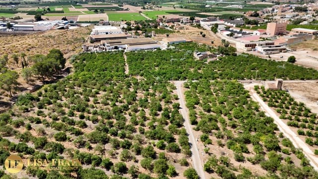 4 soverom Finca/Herregård til salgs i Orihuela - € 599 000 (Ref: 9955468)