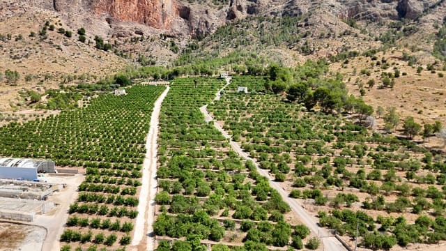 4 soverom Finca/Herregård til salgs i Orihuela - € 599 000 (Ref: 9955468)