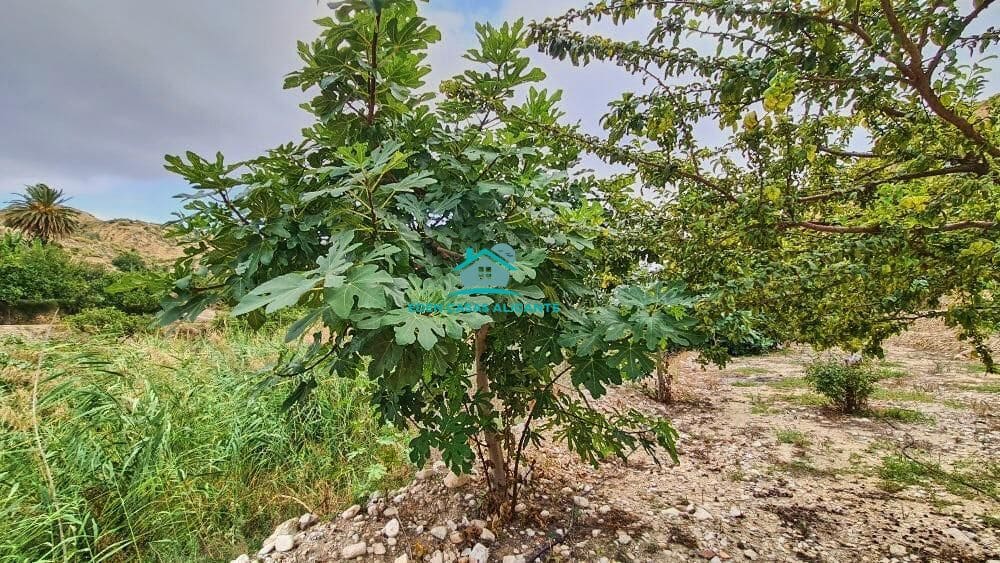 Grunde uden byggetilladelser til salg i Jijona / Xixona - € 35.000 (Ref: 8033947)