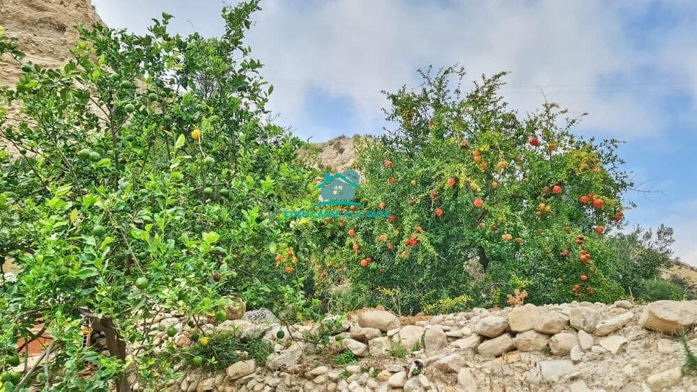 Grunde uden byggetilladelser til salg i Jijona / Xixona - € 35.000 (Ref: 8033947)