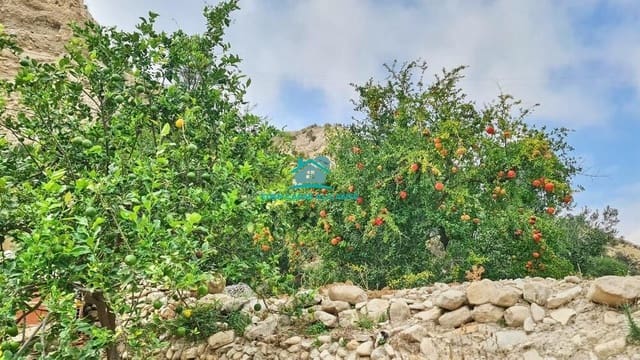 Undeveloped Land for sale in Jijona / Xixona - € 35,000 (Ref: 8033947)