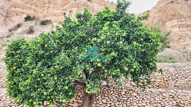 Undeveloped Land for sale in Jijona / Xixona - € 35,000 (Ref: 8033947)