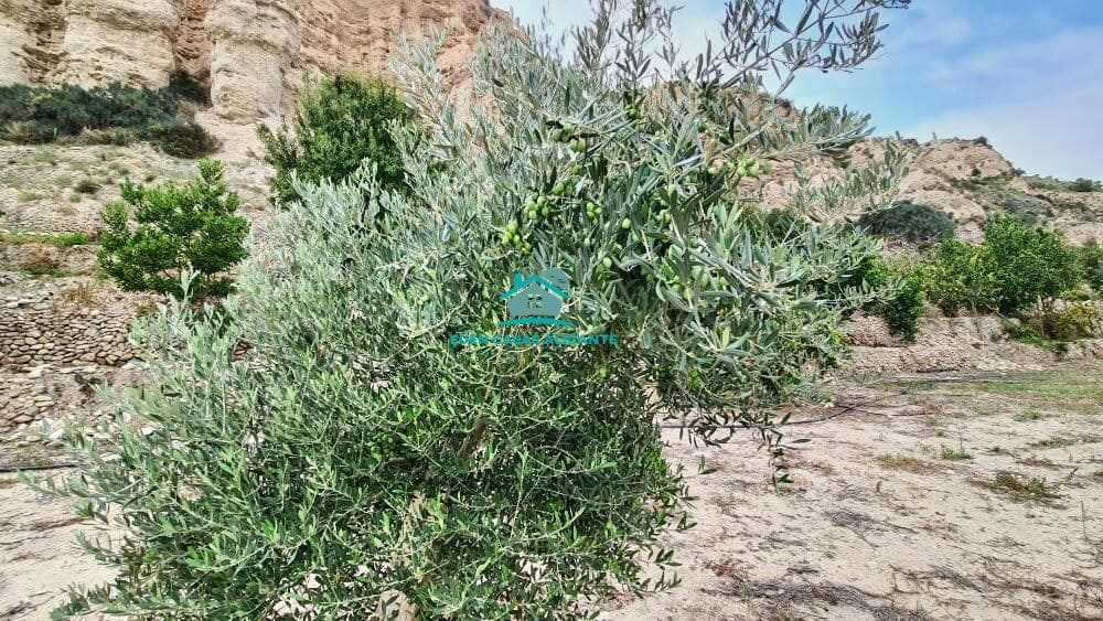 Grunde uden byggetilladelser til salg i Jijona / Xixona - € 35.000 (Ref: 8033947)